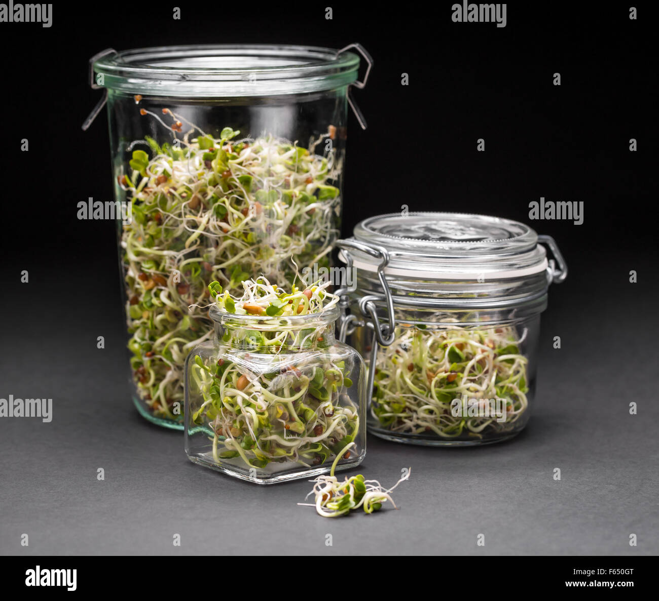 Set of glass jars full of sprouted seeds Stock Photo Alamy