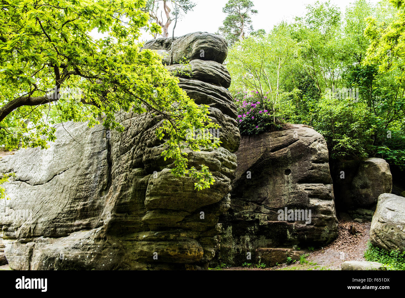 High Rocks in Tunbridge Wells Stock Photo - Alamy