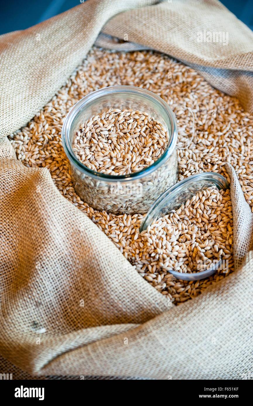 malt for beer brewing Stock Photo