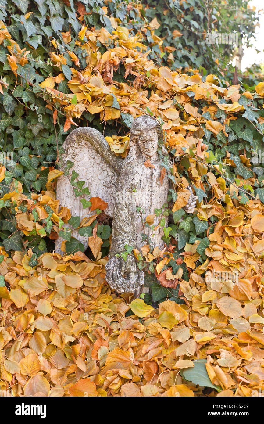 Statue of an angel covered in green ivy and yellow leaves near the Cemetery Church of All Saints (UNESCO site) Stock Photo
