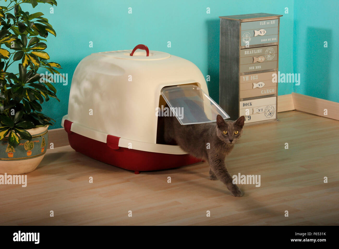 Leaving litter hires stock photography and images Alamy