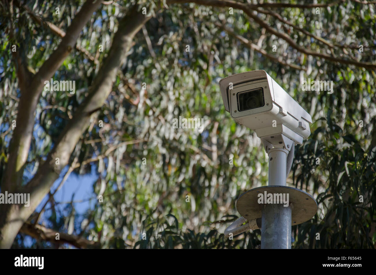 24 hour Surveillance or security CCTV camera in Sydney Stock Photo Alamy