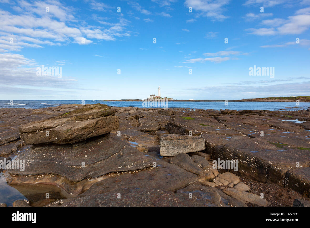 Rocks at Collywell Bay near Seaton Sluice, Northumberland, St Mary's