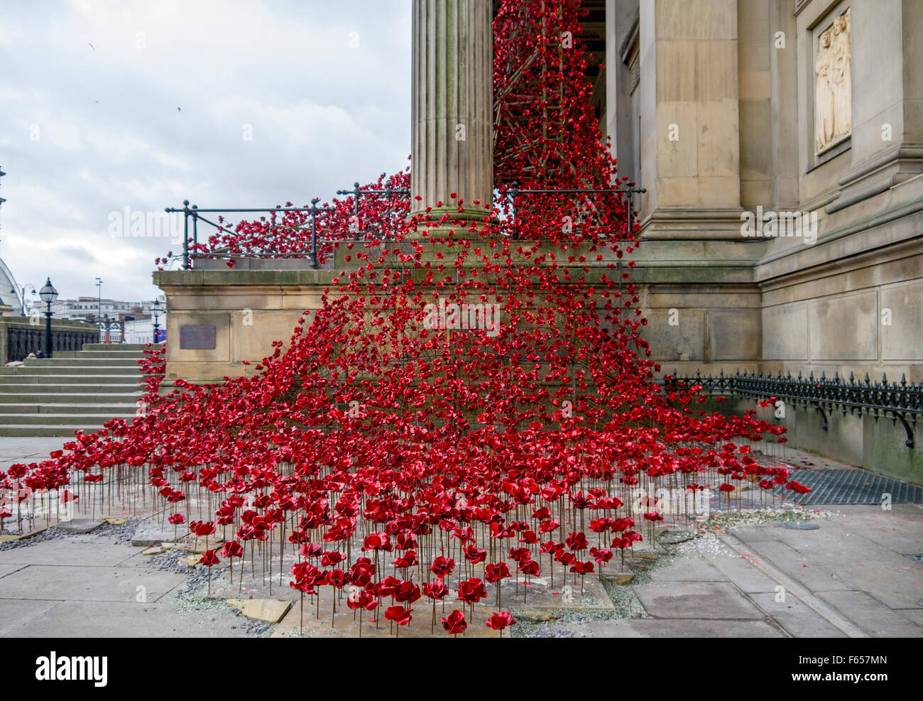 Poppies Weeping Window at St George's Hall in Liverpool. Stock Photo
