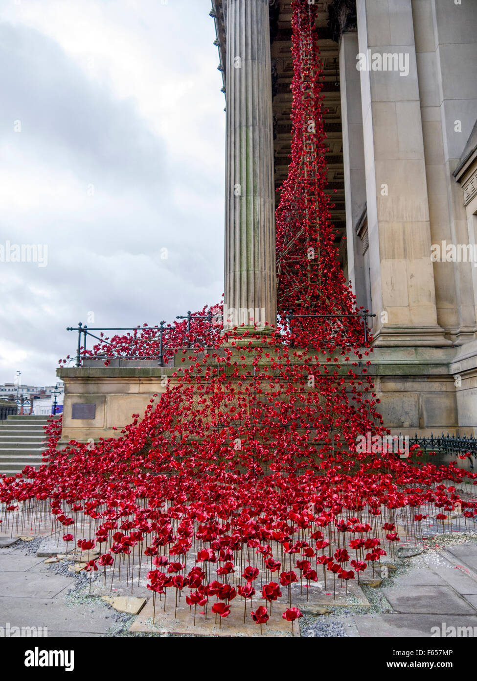 Poppies Weeping Window at St George's Hall in Liverpool. Stock Photo