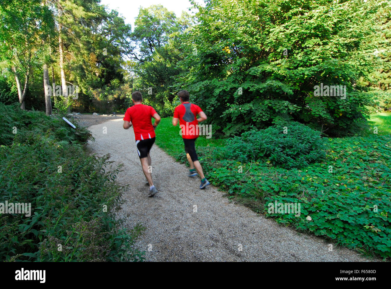 Belvedere Garten Stock Photos Belvedere Garten Stock Images Alamy