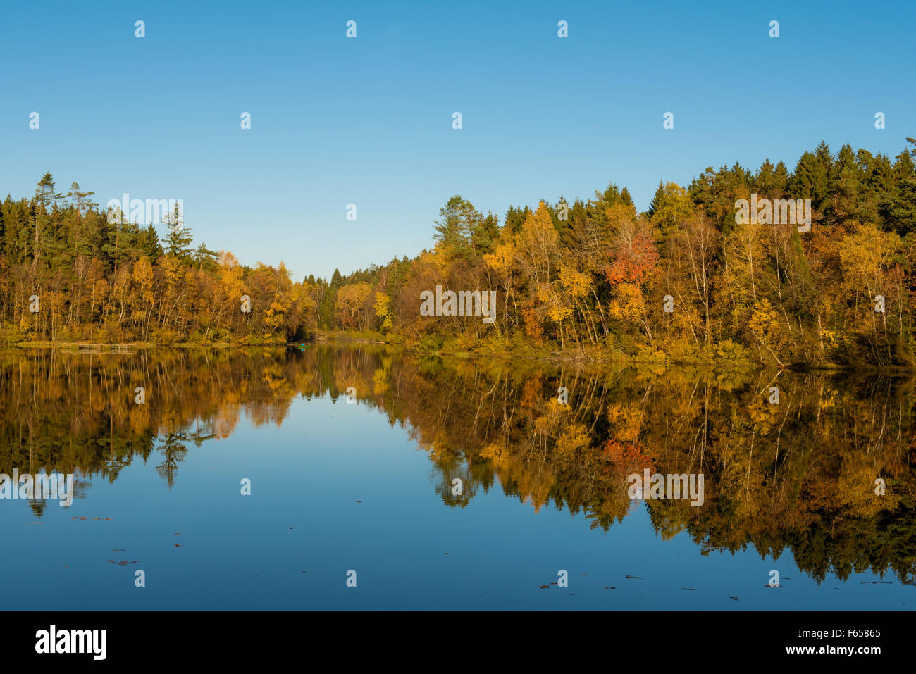 Colorful reflection of forest and lake in the fall season. Stock Photo