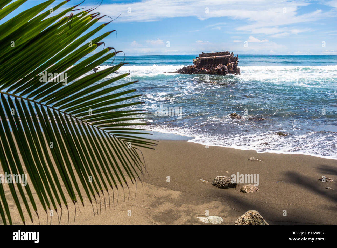 Beach and jungle in Costa Rica Stock Photo Alamy
