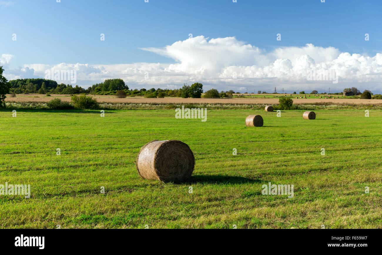 Country scene with hay rolls hi-res stock photography and images - Alamy
