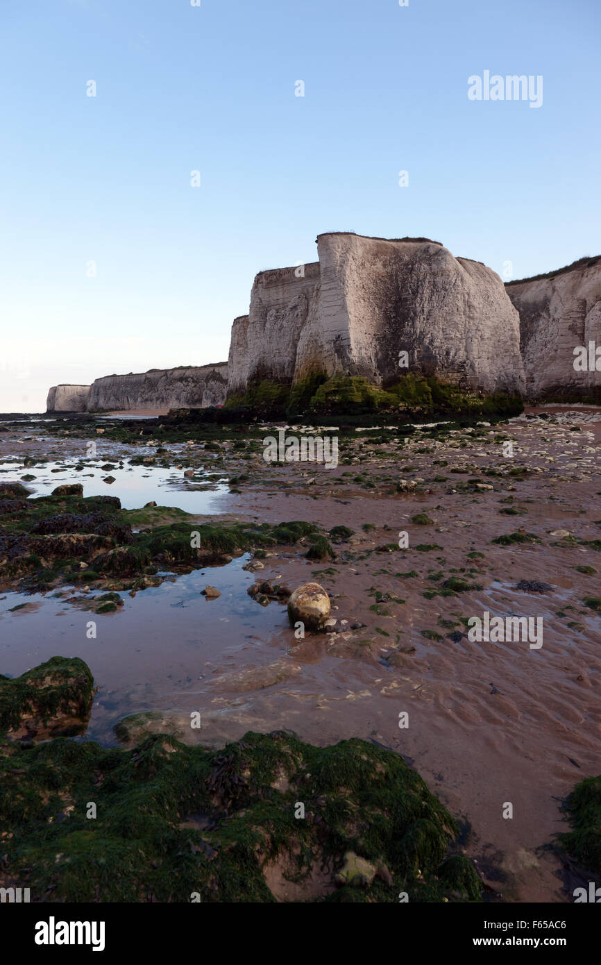 Low tide at Botany Bay, Broadstairs, Kent. Showing rock pools, Sea Stacks and Chalk Cliffs. Stock Photo