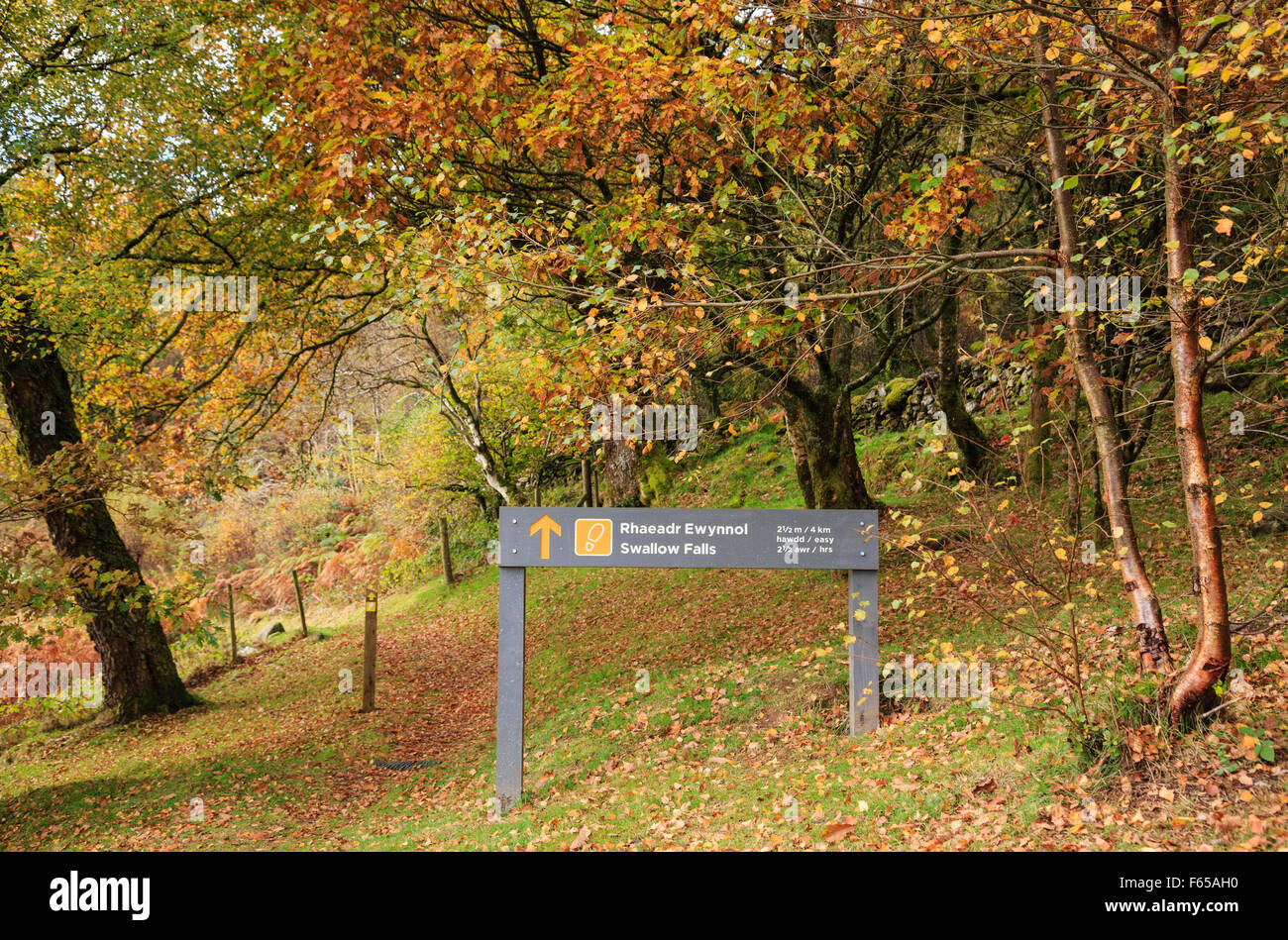 Footpath sign to Swallow Falls from Ty'n Llwyn in Gwydyr Forest Park in Snowdonia National Park. Betws-y-Coed North Wales UK Stock Photo