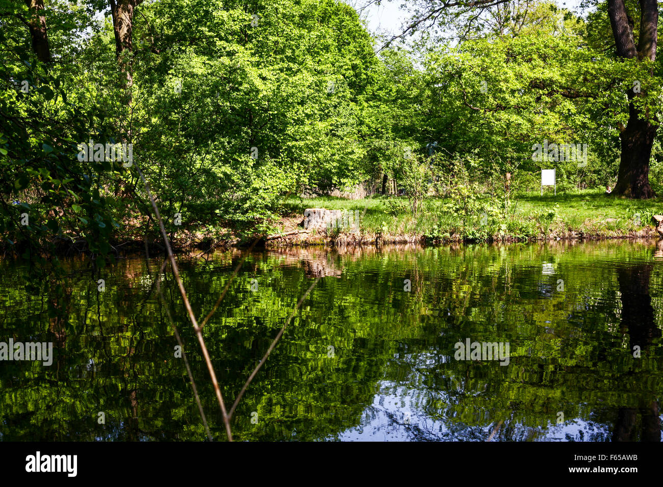 Trees around a water pond Stock Photo Alamy