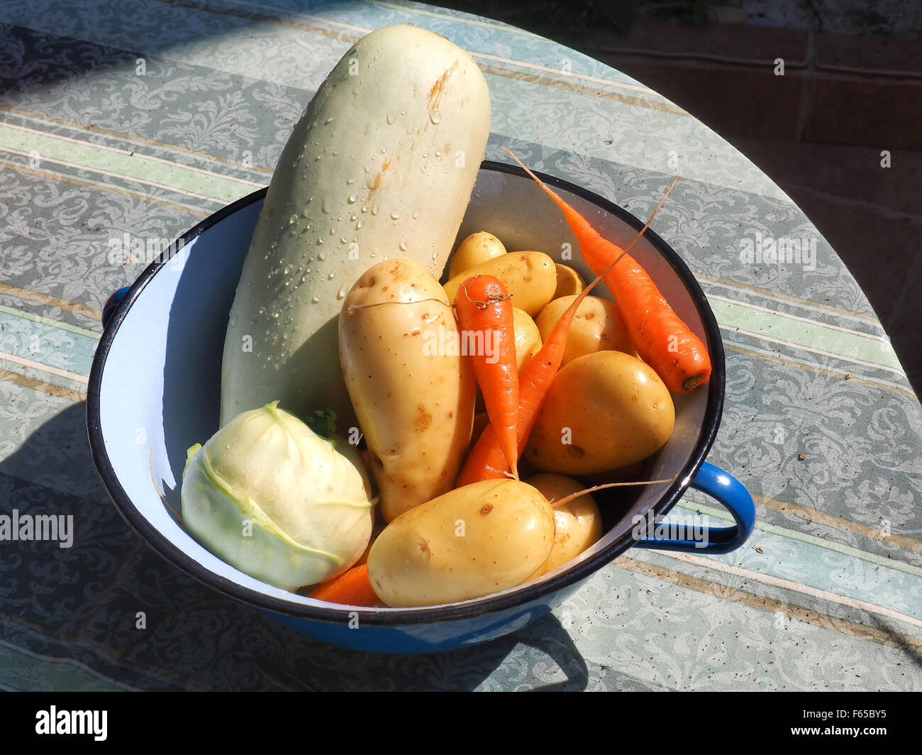 fresh picked vegetables in metal bucket Stock Photo Alamy