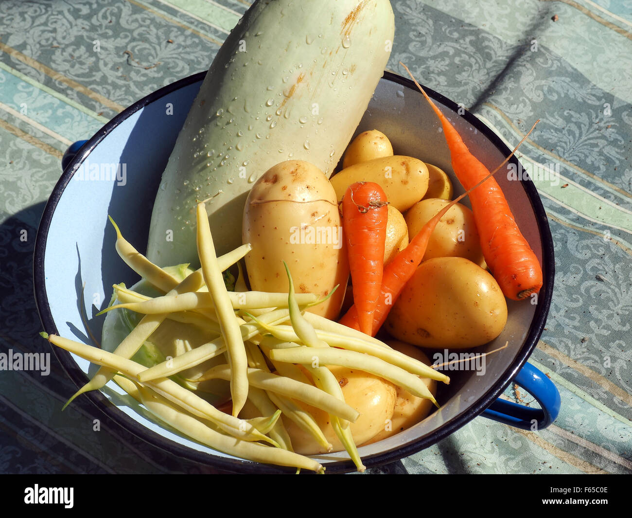 fresh picked vegetables in metal bucket Stock Photo Alamy