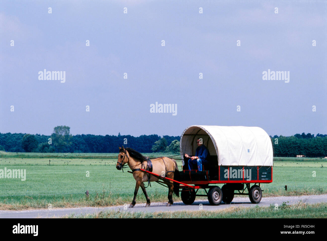 Man riding horse covered wagon passing through field in Holland Stock Photo