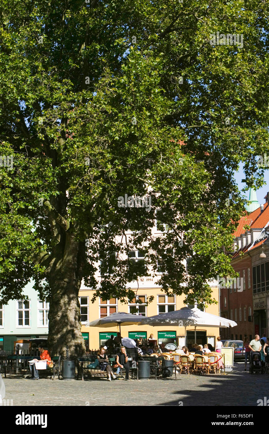 Sole d'Italia Restaurant under tree in Grabrodretorv Square, Copenhagen