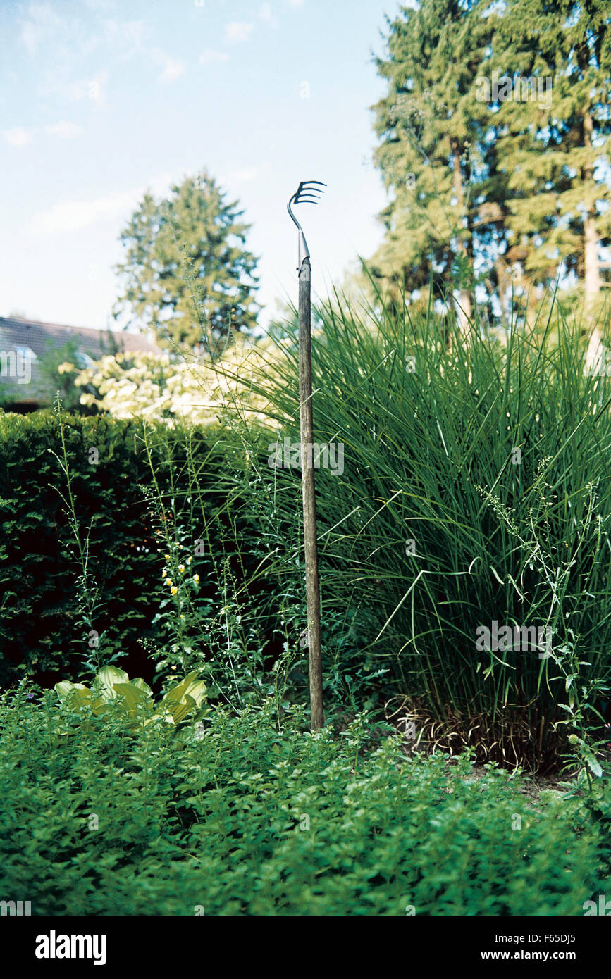 Rake for weeding weeds buried in ground with handle upright Stock Photo ...