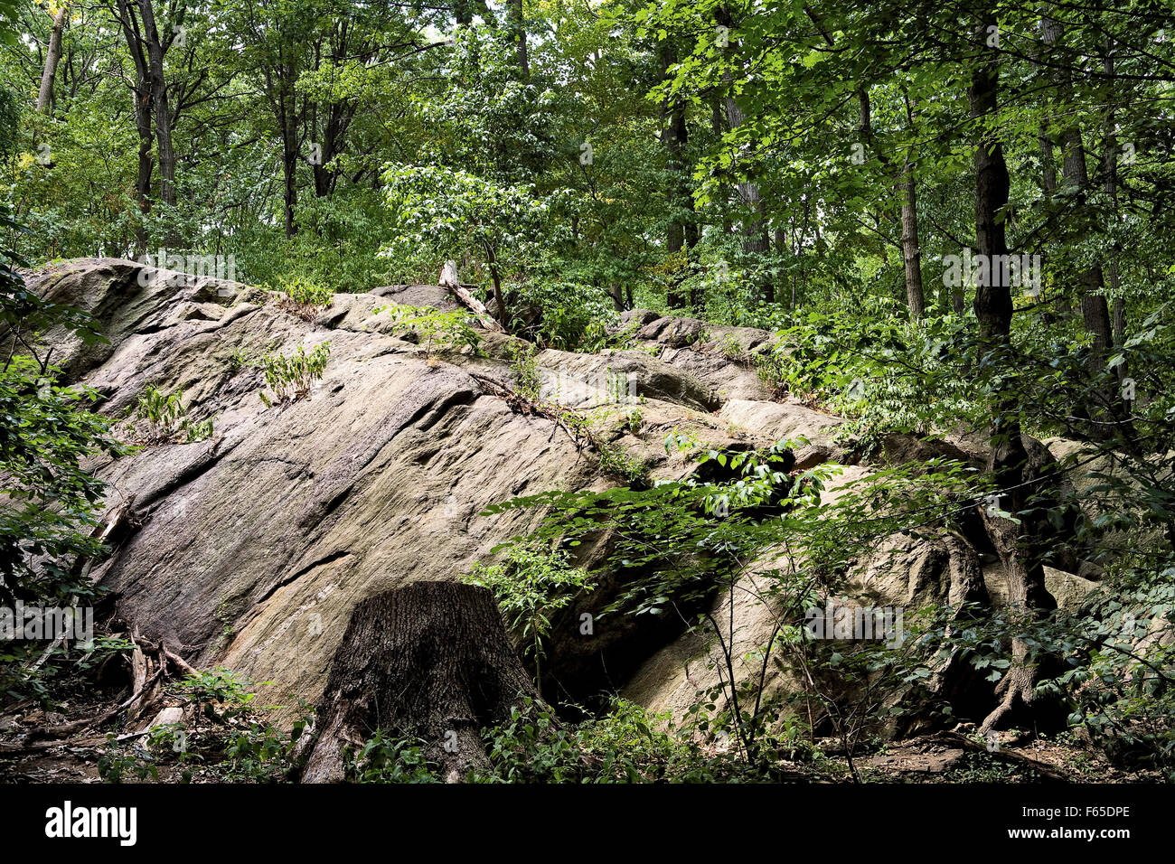 View of rocks and forest in Inwood Hill Park, New York, USA Stock Photo