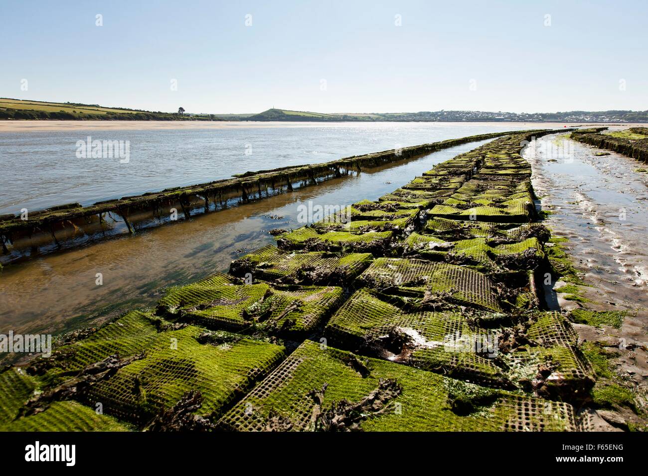 An oyster farm in Rock (Cornwall, England) Stock Photo