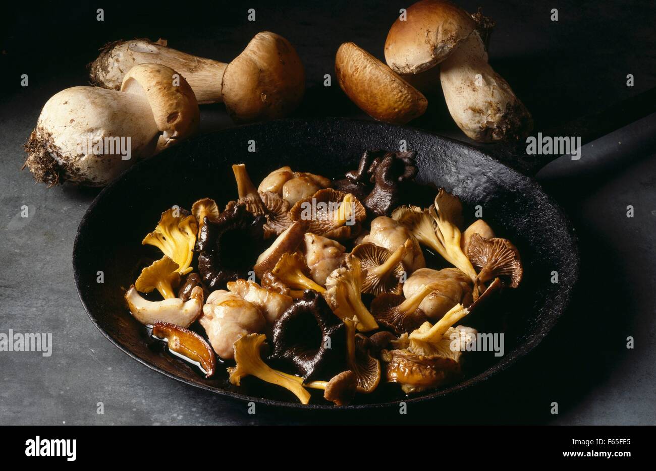 Mushroom Fricasse Stock Photo