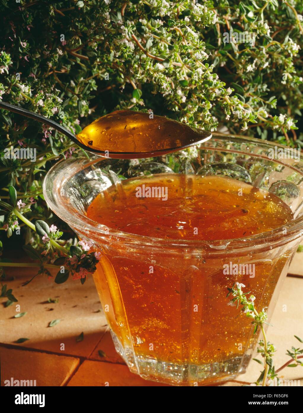 Apple and thyme jelly Stock Photo Alamy
