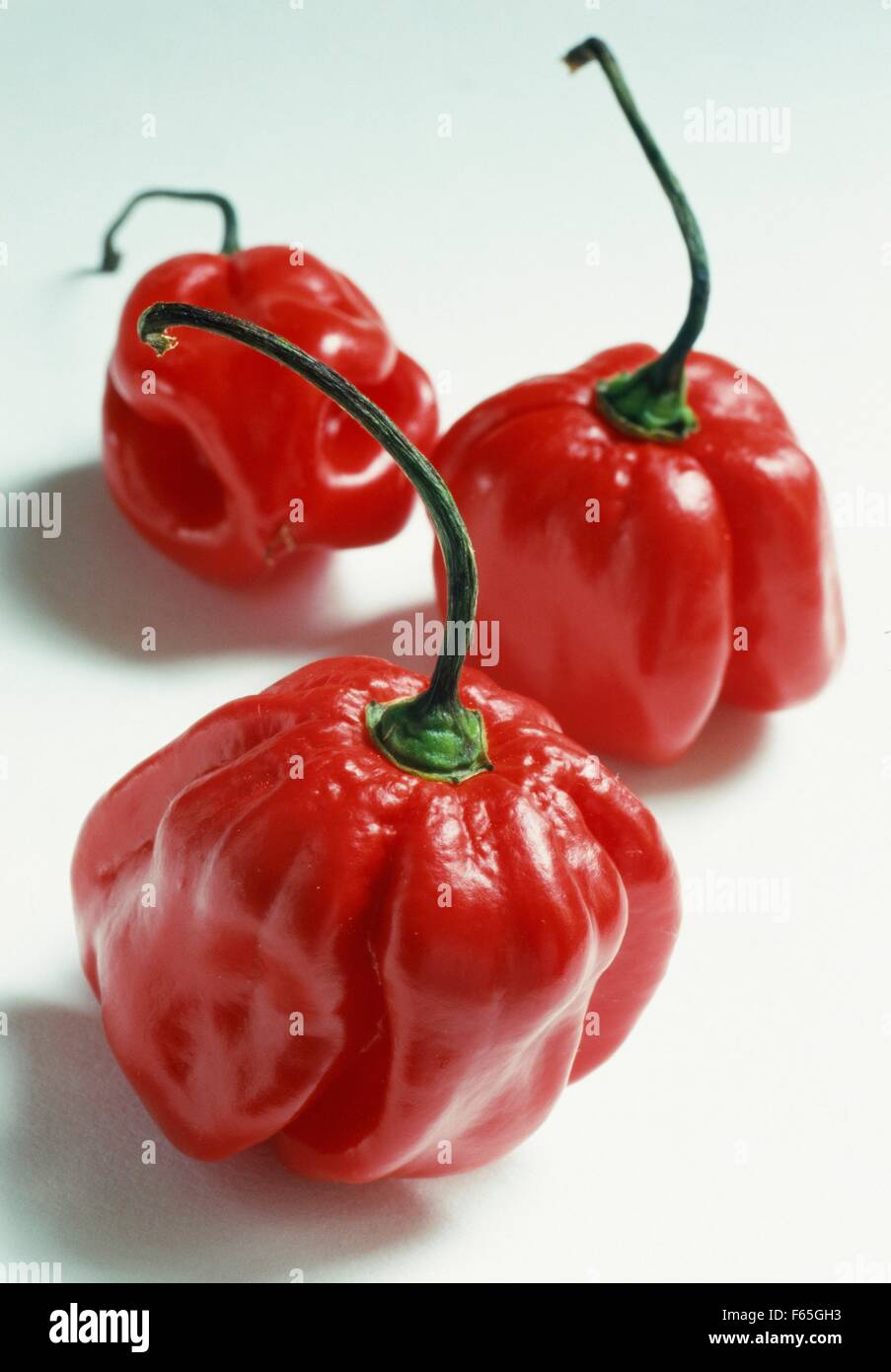 West Indian red peppers Stock Photo