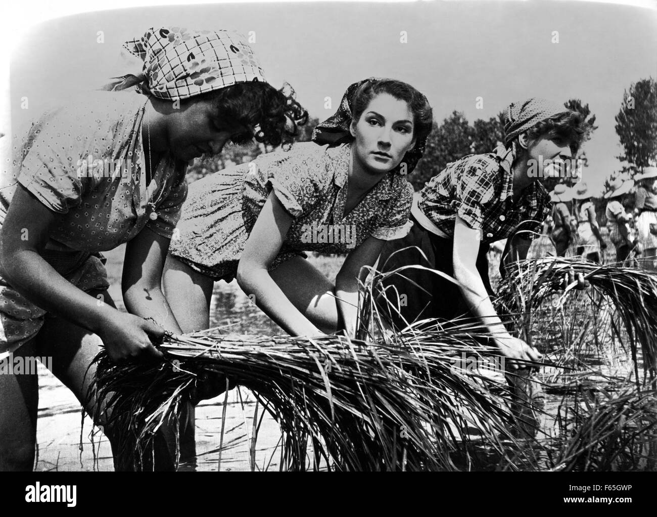 Видео ретро сюжет. Riso Amaro 1949 Италия. Сильвана Мангано Горький рис.