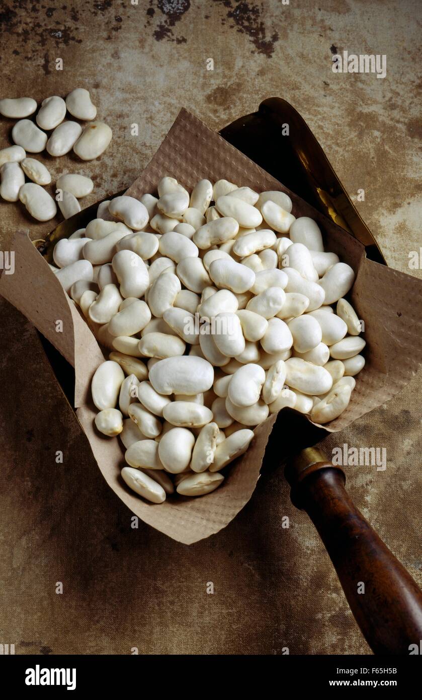 Soisson white beans Stock Photo