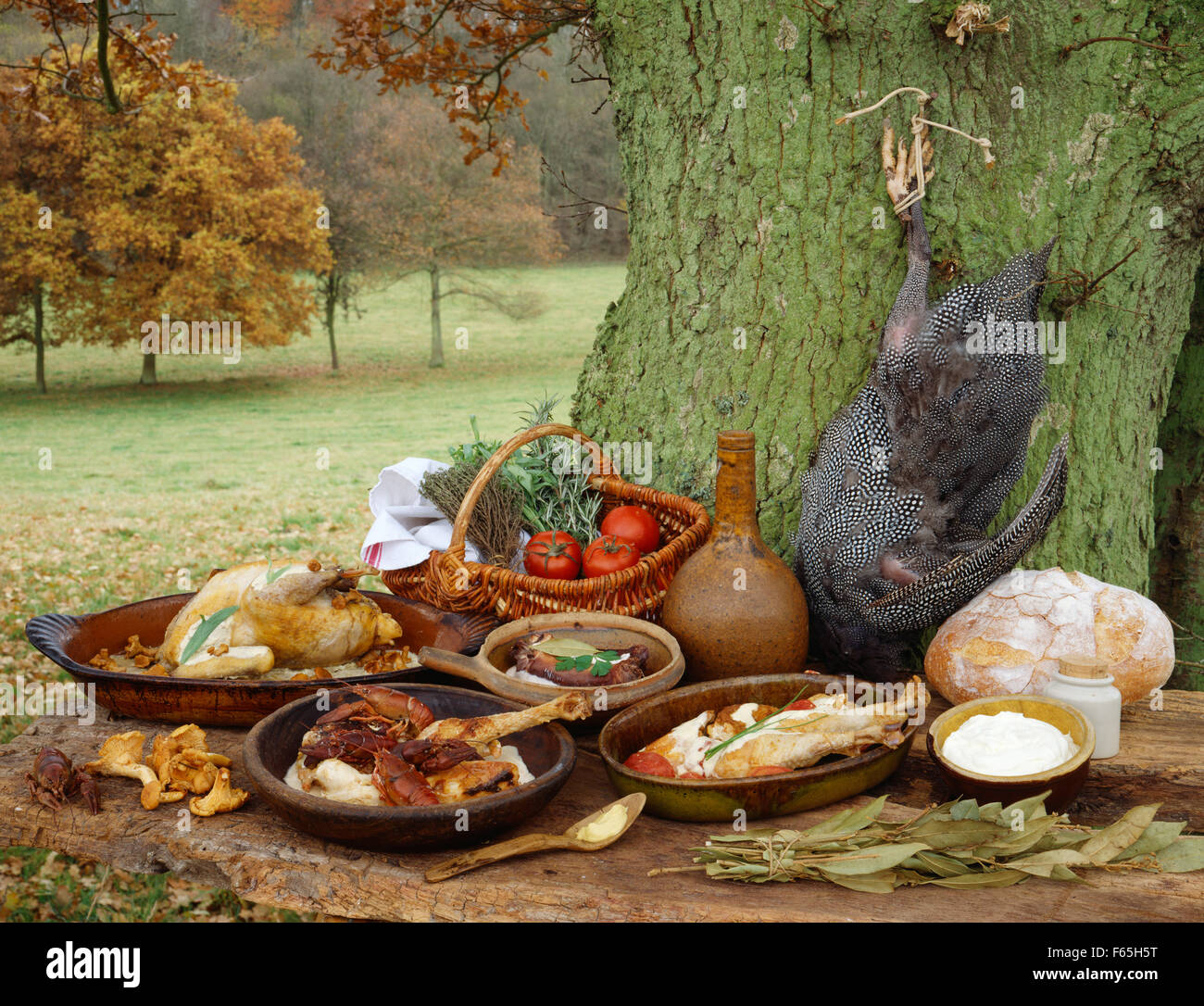 Cooked poultry and game Stock Photo Alamy