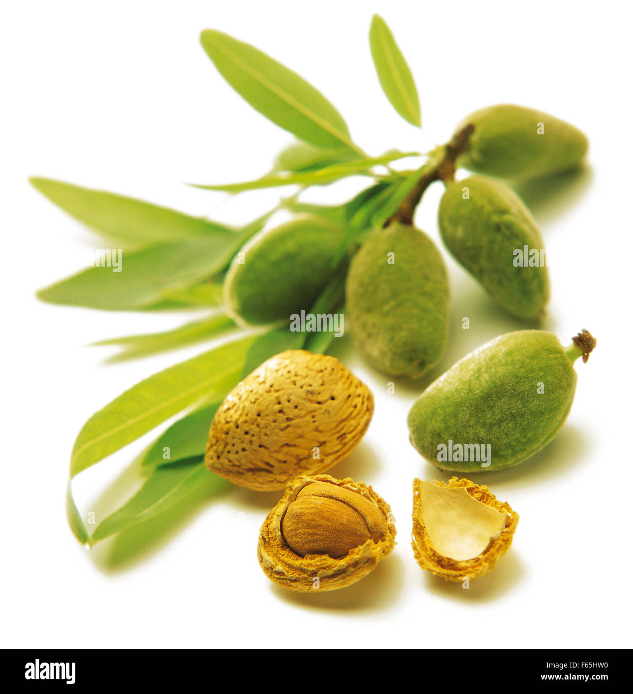 Soft shell almonds hires stock photography and images Alamy