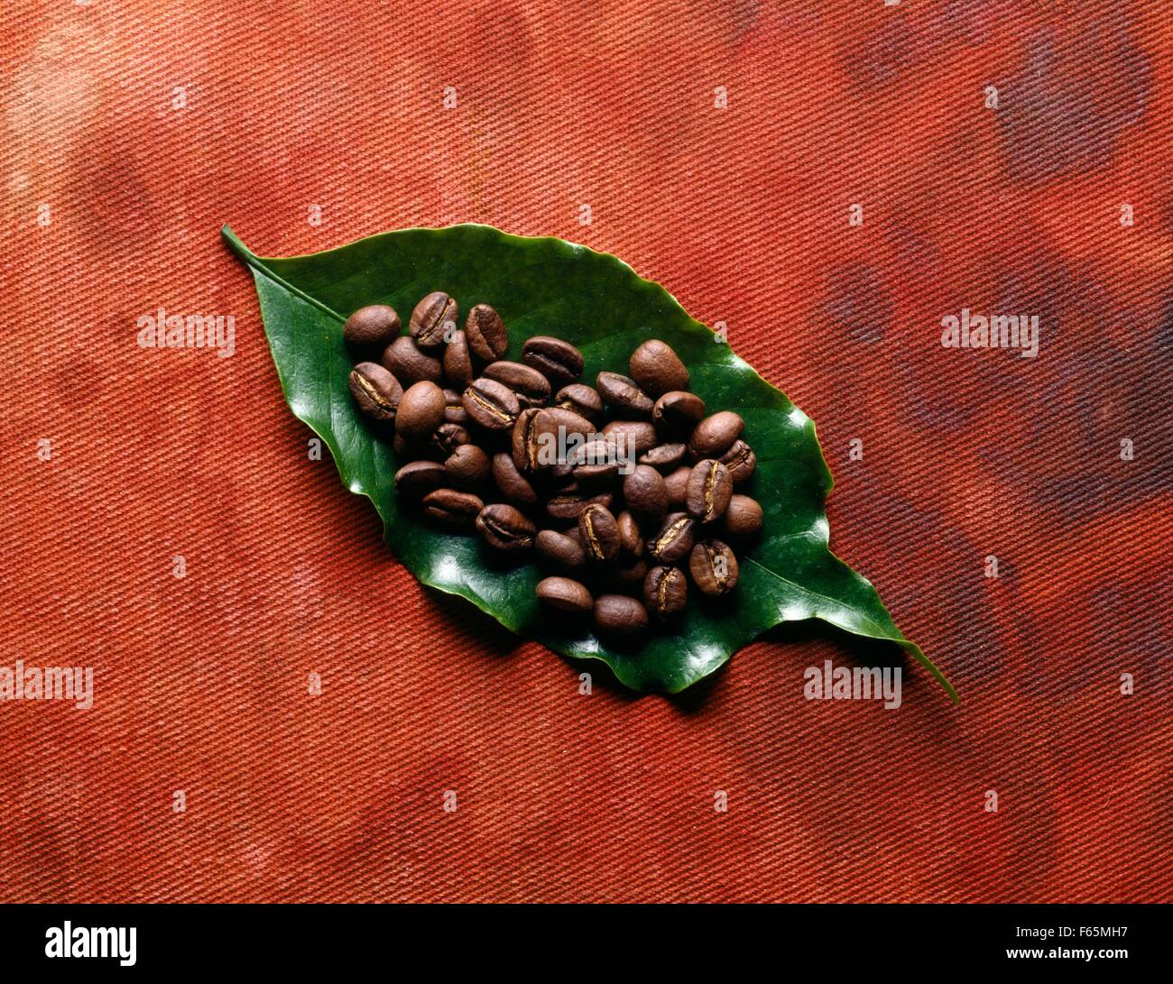 Moka coffee beans Stock Photo - Alamy