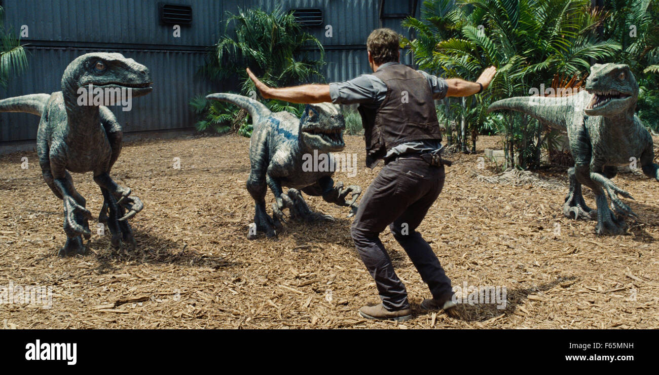 Jurassic World Year : 2015 USA Director : Colin Trevorrow Chris Pratt Stock Photo