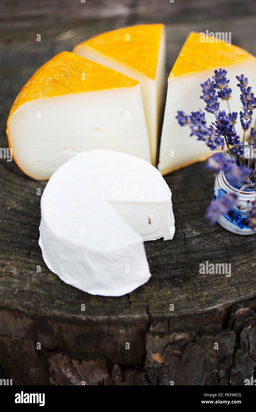 Soft goat's cheese and Camembert with caraway seed from the cheese