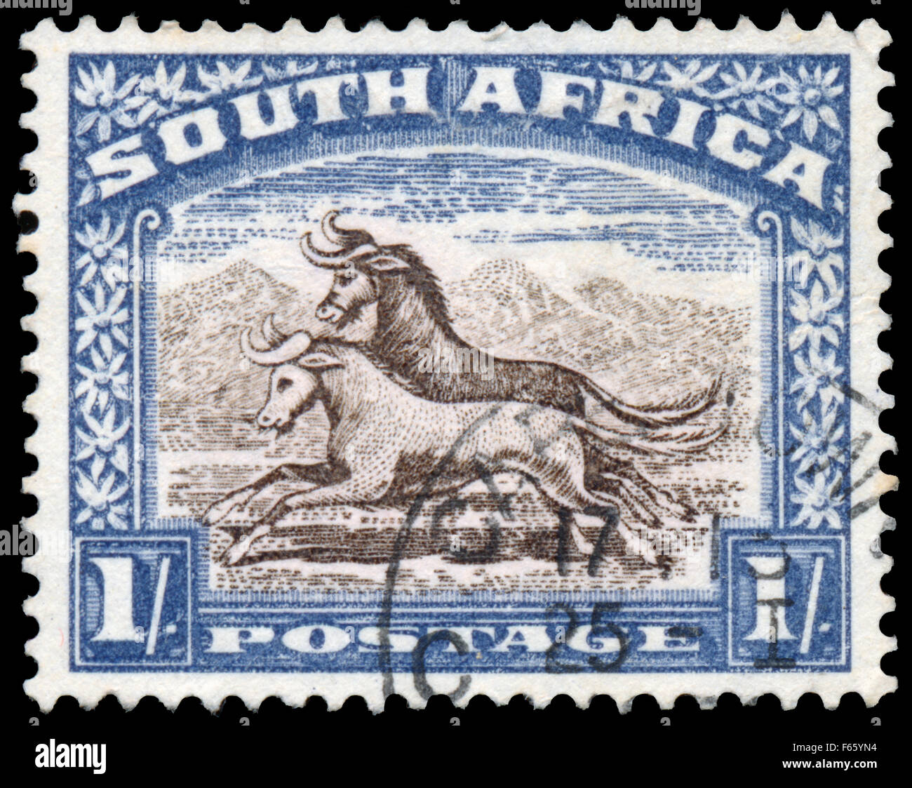 SOUTH AFRICA - CIRCA 1933: Stamp printed in South Africa shows image of two goats galloping, circa 1933 Stock Photo
