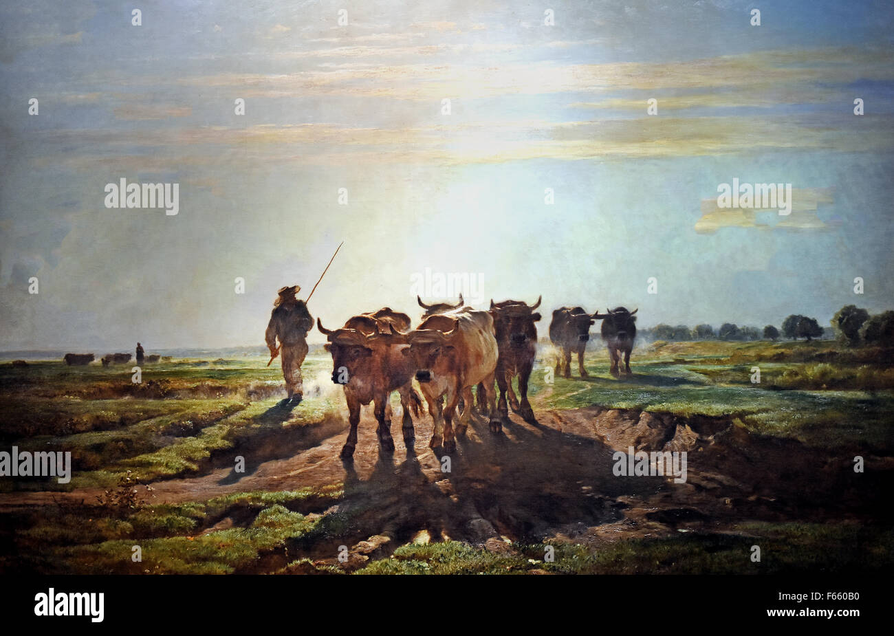 Boeufs allant au labour, effet de matin - Oxen going to the plow, morning effect 1855 Constant Troyon 1810 - 1865 France French Stock Photo