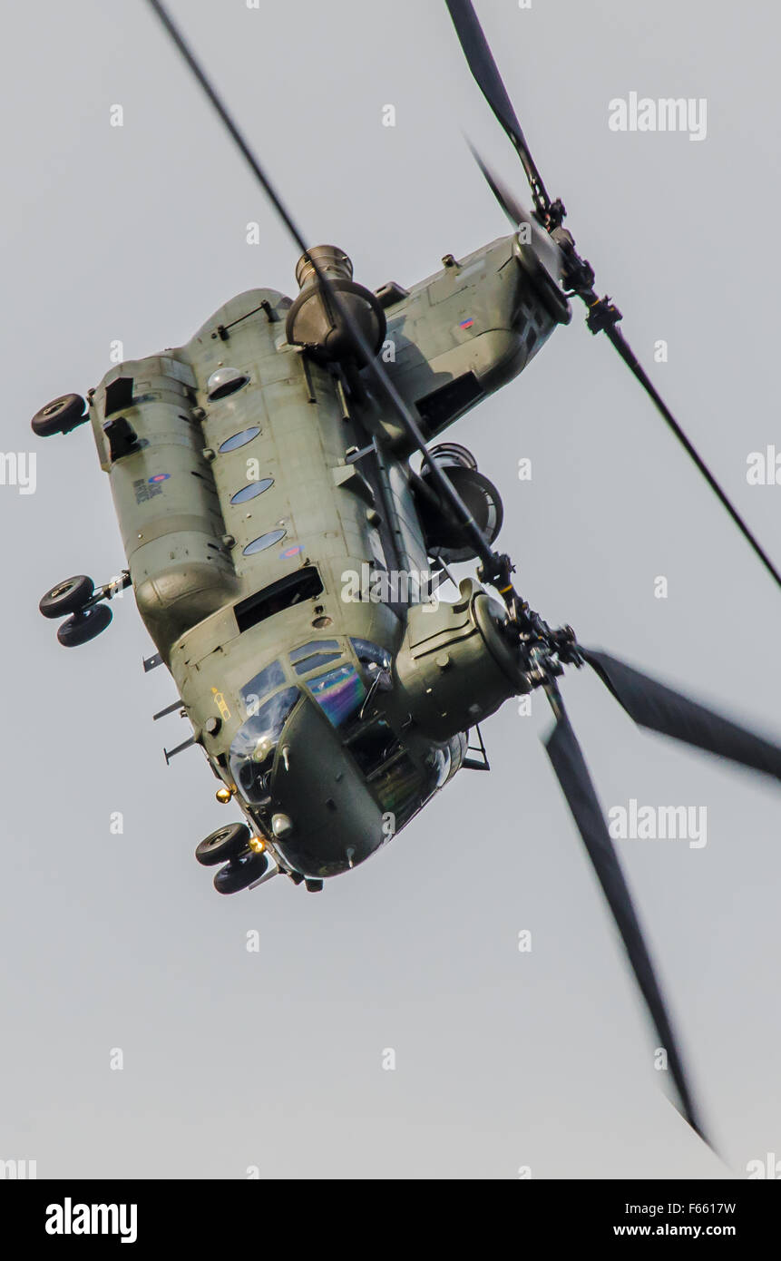 The Boeing Chinook is a tandem rotor helicopter operated by the Royal Air Force RAF based on the US Army's Boeing CH-47. Flying Stock Photo