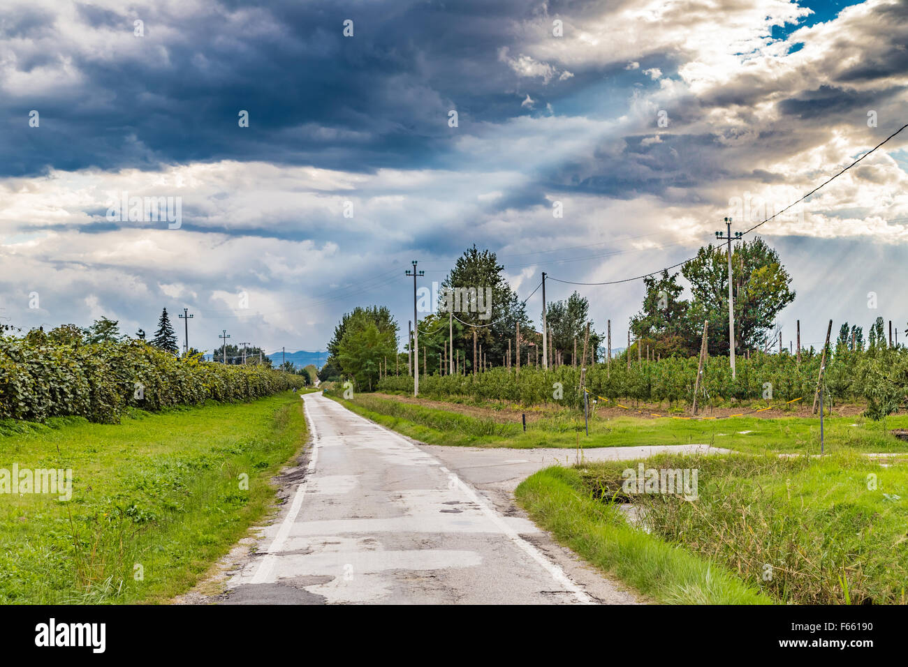 country road that forks into two directions, one barred Stock Photo