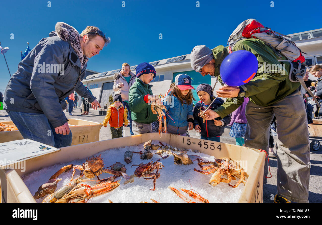 People looking at shellfish on display at the annual Seaman's day festival, Reykjavik, Iceland Stock Photo