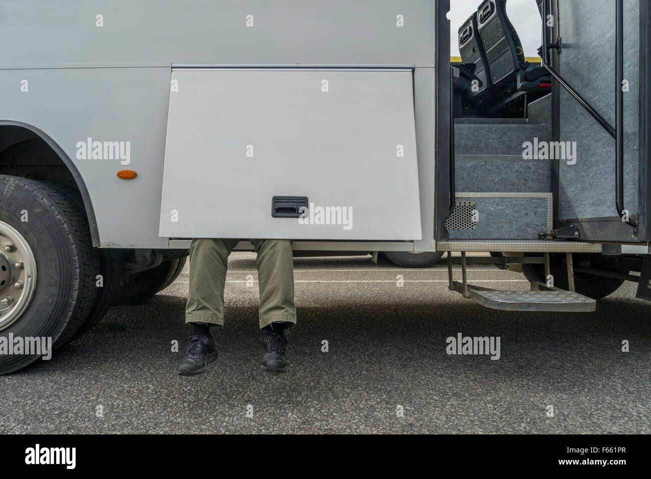 Man sitting in the baggage compartment of tour bus, Gullfoss, Iceland
