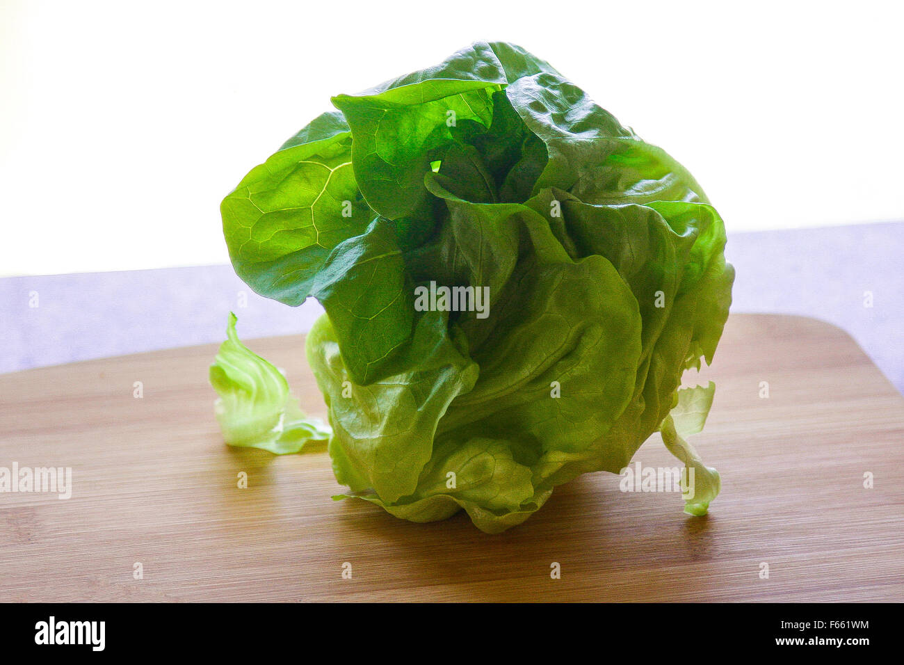 Salad ingredients, lettuce, backlit on granite cutting board on a cutting board Stock Photo