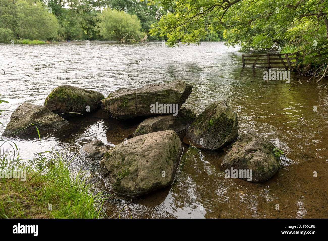 Trees and rocks in flowing river Stock Photo - Alamy