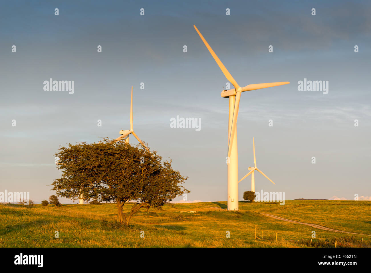 wind turbine in sunset Stock Photo