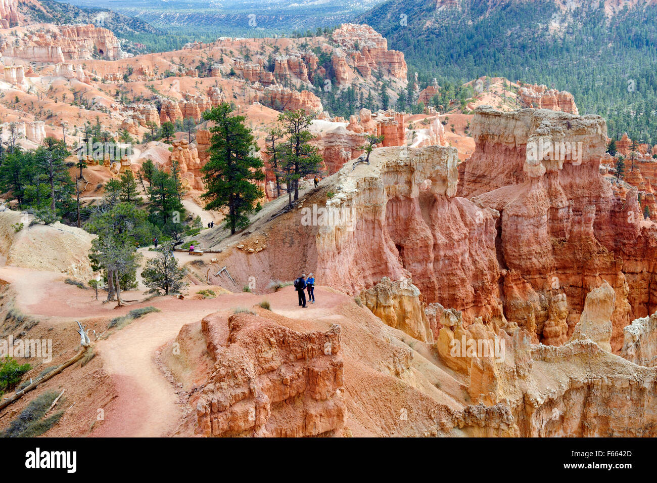 Hikers on Queen's Garden Trail, Bryce Canyon National Park, Utah. Stock Photo