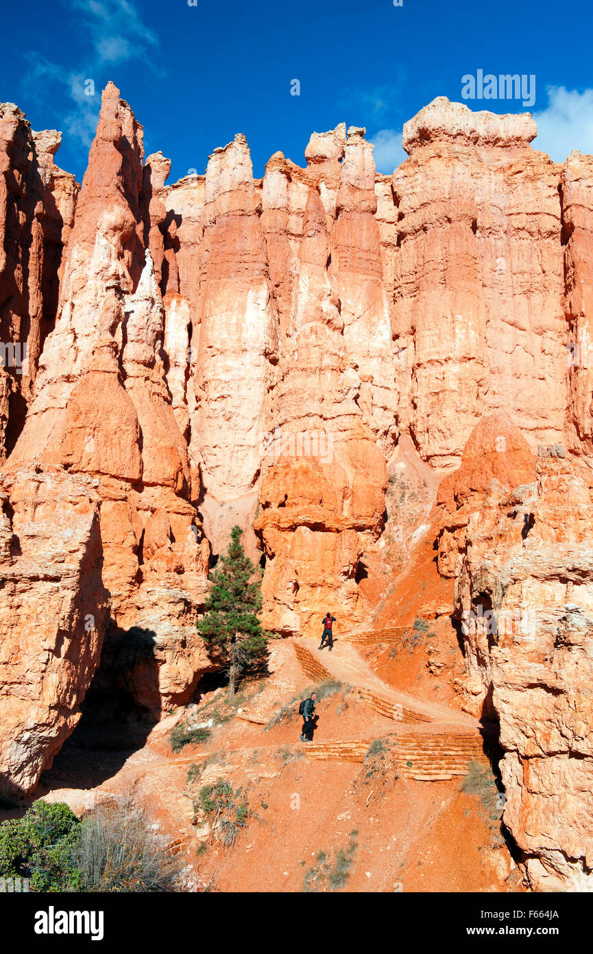 Two hikers climbing switchbacks on the Queen's Garden Trail in Bryce Canyon National Park, Utah. Stock Photo