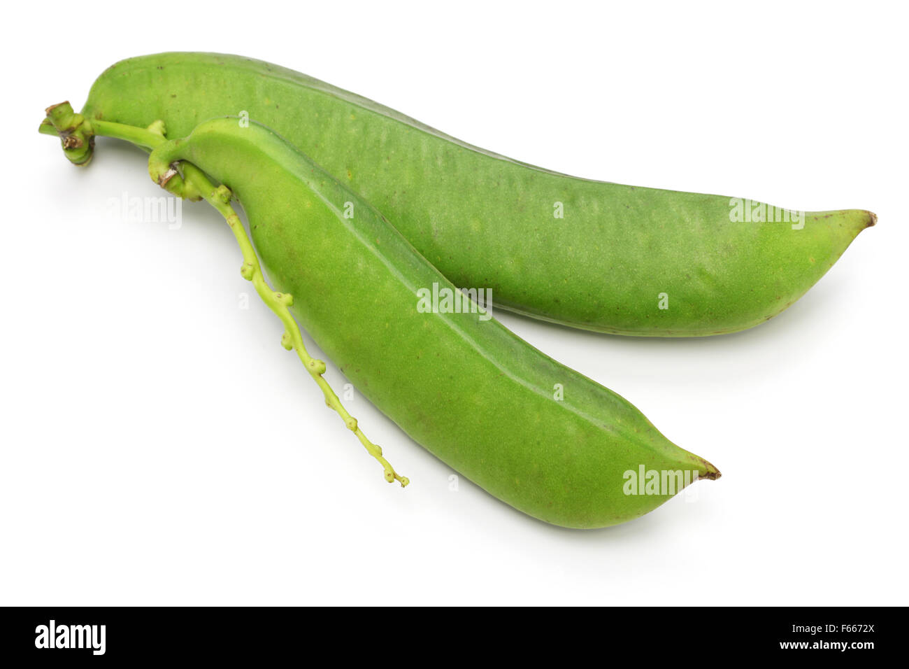 sword beans isolated on white background Stock Photo