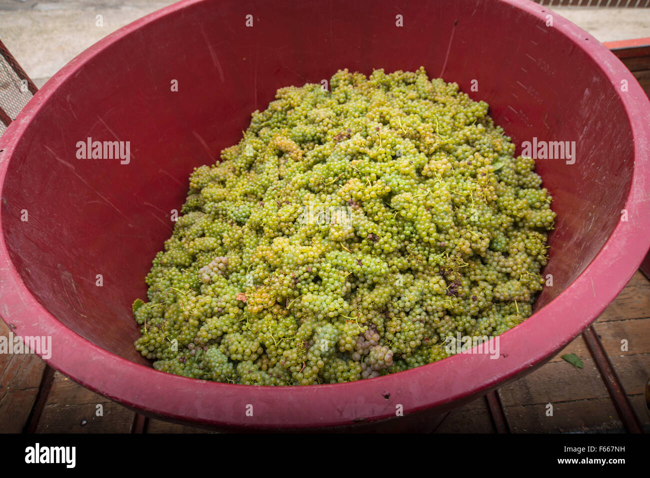 Grapes wine Stock Photo Alamy