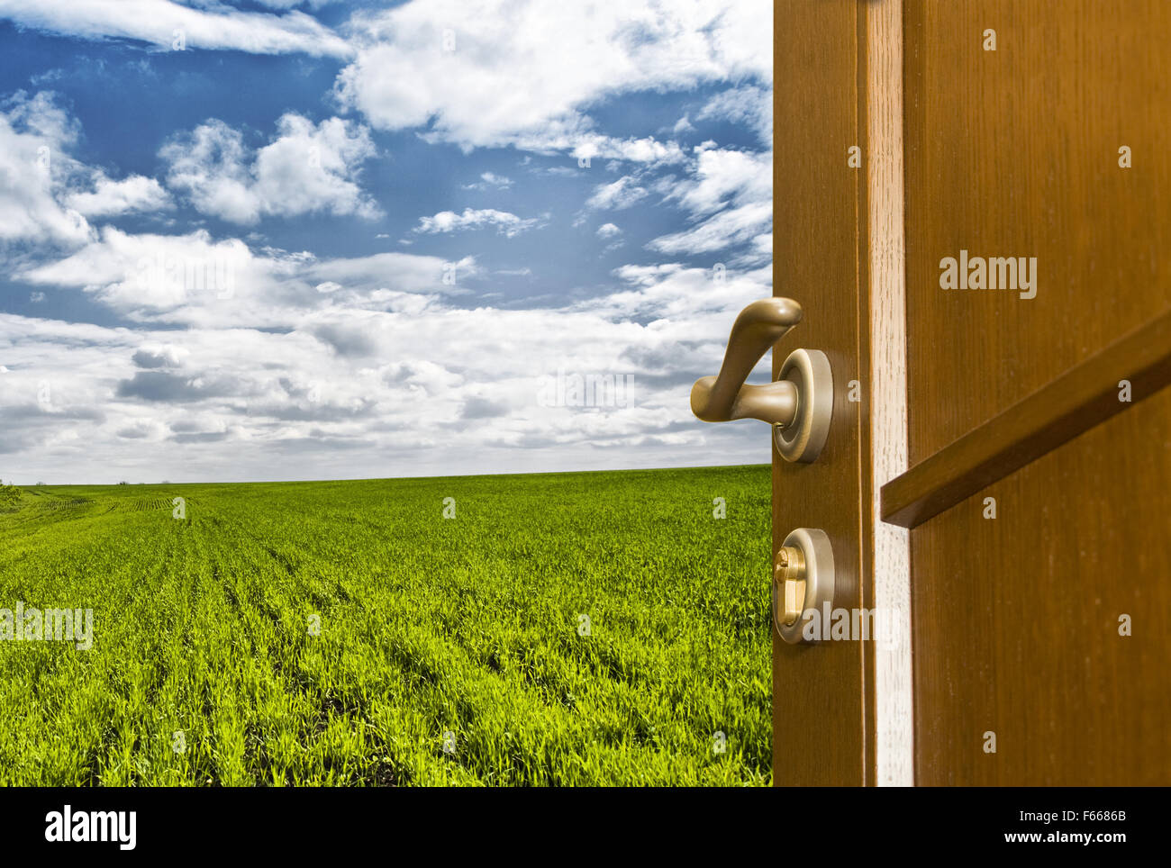 Freedom. Open door to green field and blue sky Stock Photo