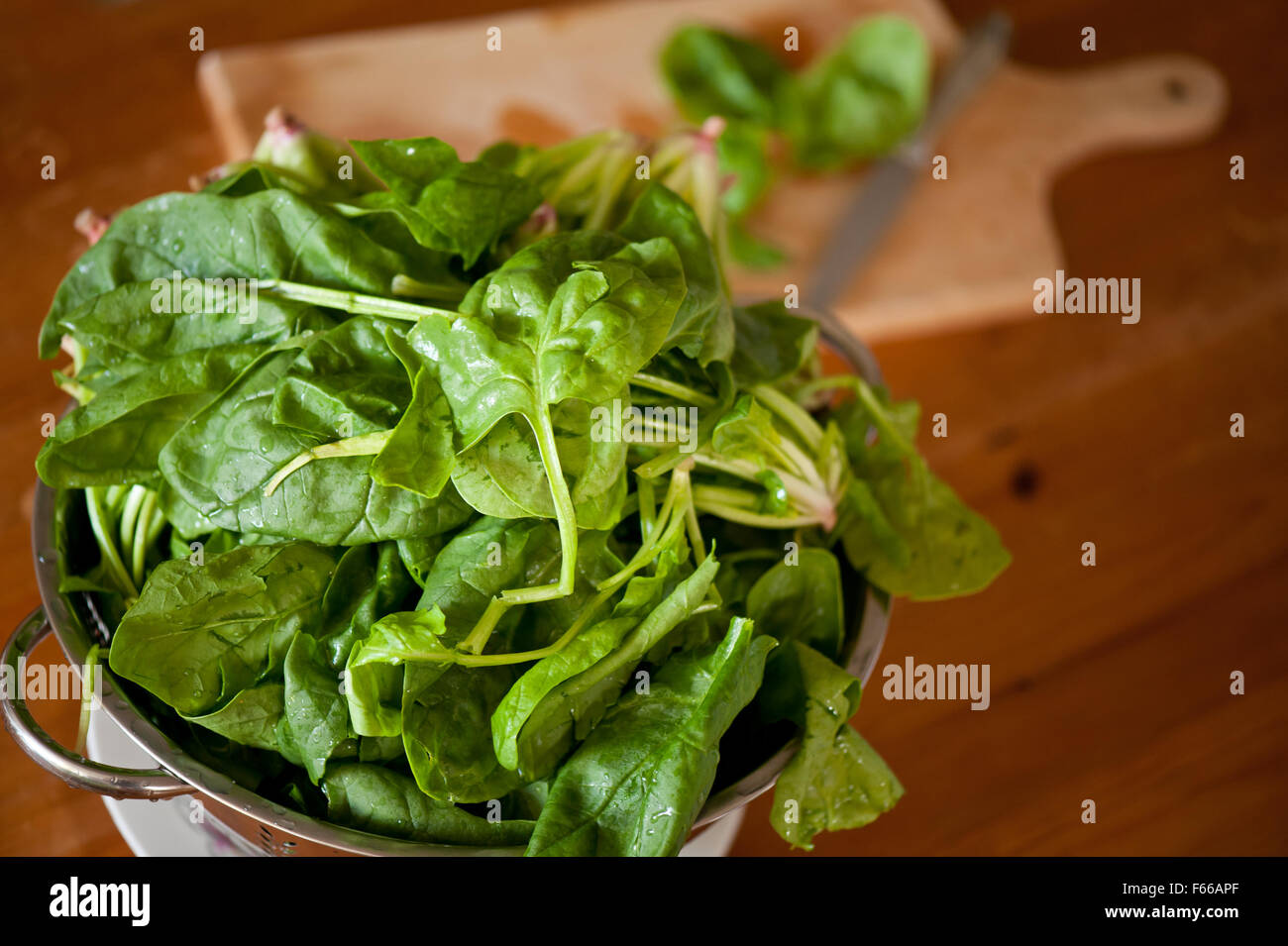 Spinach leaves in colander, perforated stainless steel strainer full of