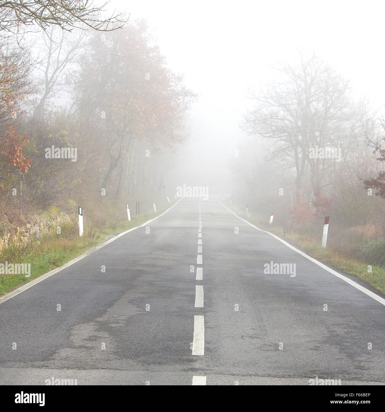 Foggy country road in hi-res stock photography and images - Alamy
