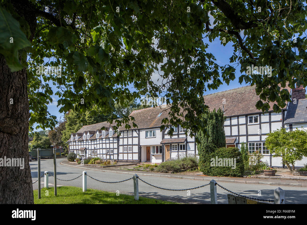 The village green in Dilwyn, Herefordshire, England Stock Photo Alamy